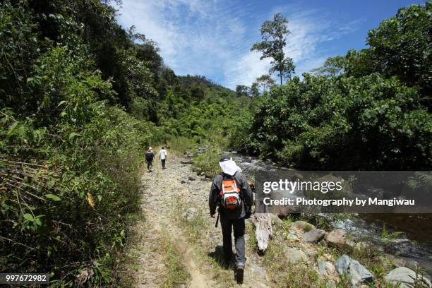 geologist life - lake toba sumatra stock pictures, royalty-free photos & images