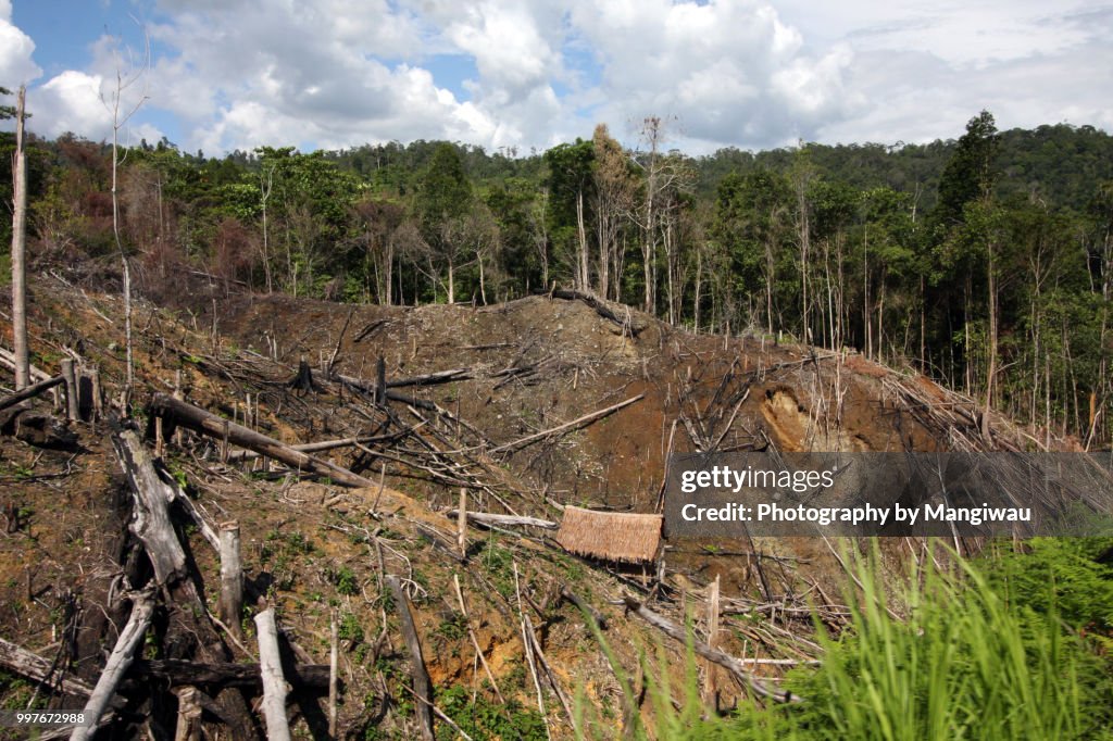 Habitat Destruction High Biology Diagrams