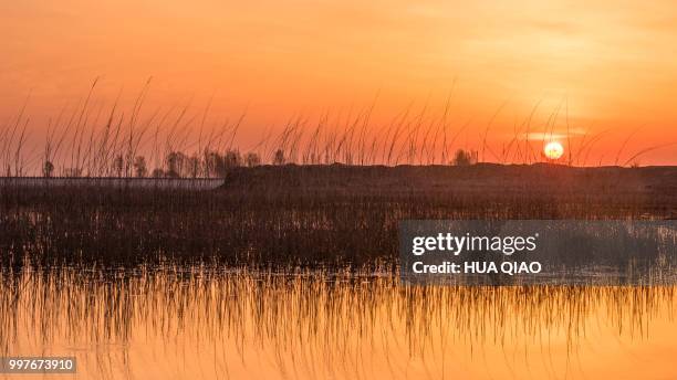 sunrise at river - qiao stock pictures, royalty-free photos & images