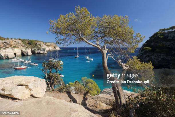 cala macarelleta viewpoint - cala stock pictures, royalty-free photos & images