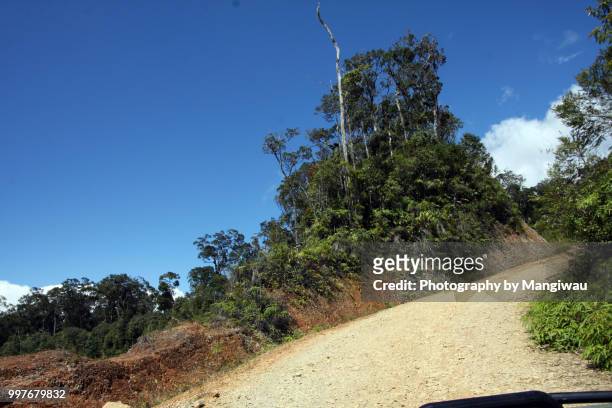 sumatran rainforest road - banda aceh stock pictures, royalty-free photos & images