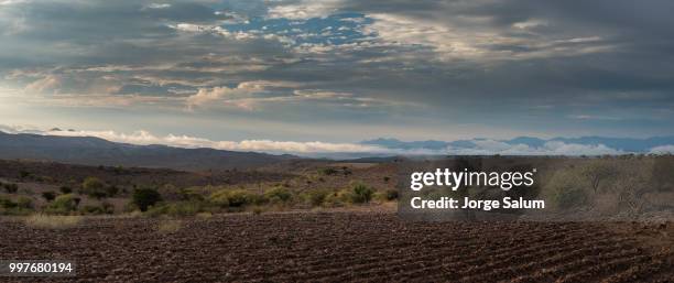 caballos al amanecer - amanecer stock pictures, royalty-free photos & images