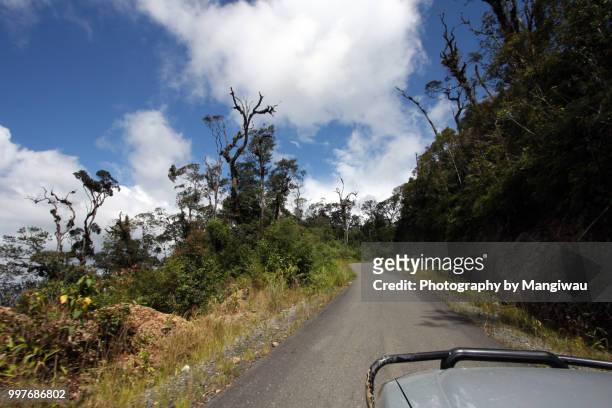 sumatran rainforest road - sumatran elephant - fotografias e filmes do acervo