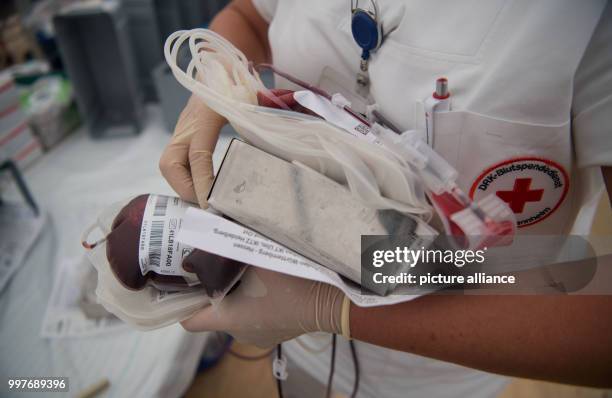 Nurse holds a blood bag and a closed blood donor one-way-system in her hands in front of the adventure park Tripsdrill in Cleebronn, Germany, 31 July...