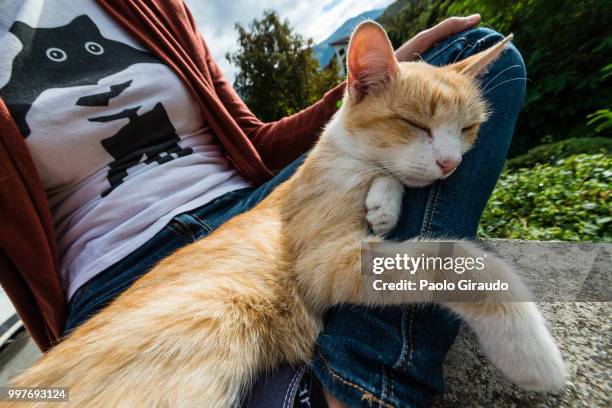 caprie,italy - parte do corpo animal imagens e fotografias de stock