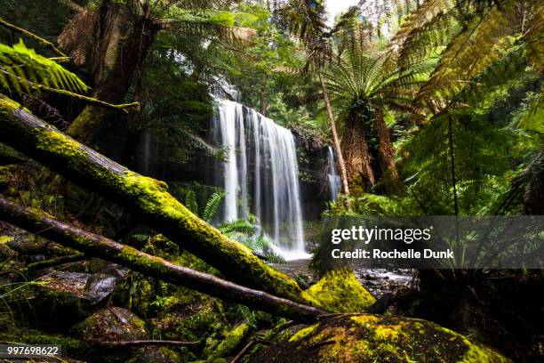 russel falls, mt field, tas, 2016. - tas 個照片及圖片檔