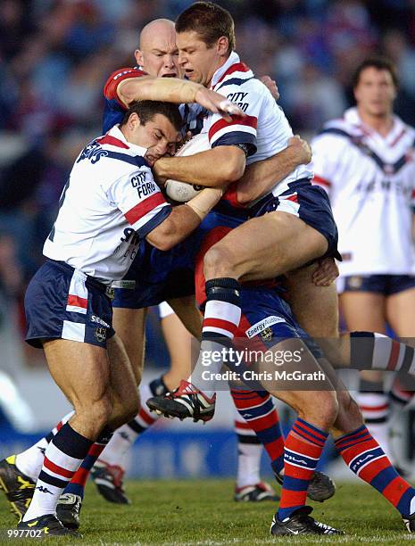 Rusty Ricketson 216 Luke Ricketson Roosters Stock Photos, High-Res Pictures, and Images ...