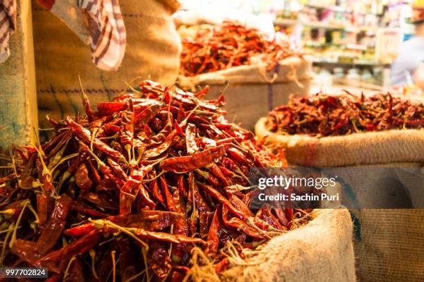 red chilly - hot - sachin stockfoto's en -beelden