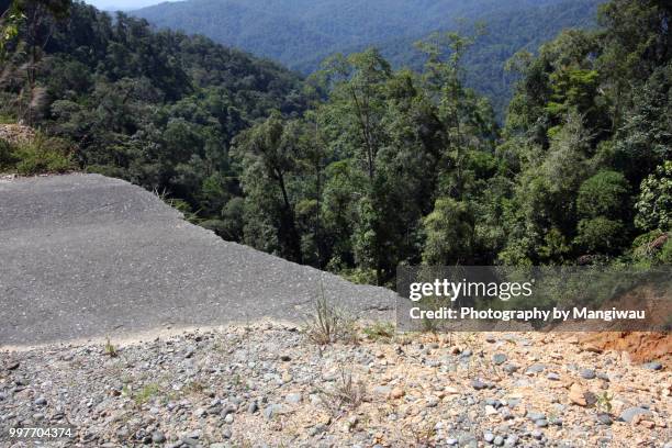 road and rainforest - roadside challenge stock pictures, royalty-free photos & images