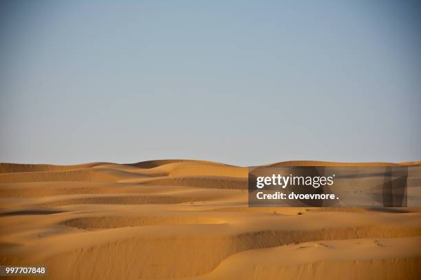 desert dunes in liwa, united arab emirates - liwa desert stock pictures, royalty-free photos & images
