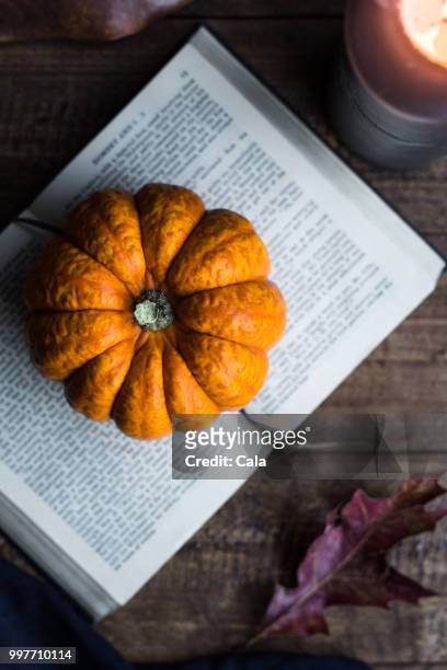 halloween pumpkin season - cala stock pictures, royalty-free photos & images