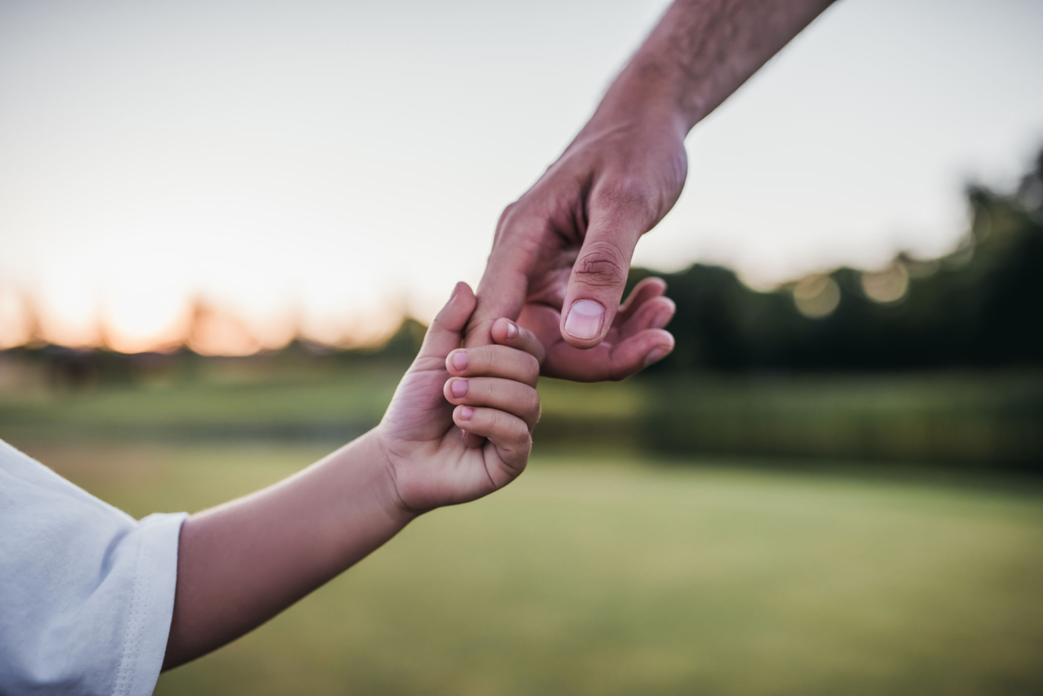 father guidance
