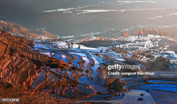 yuanyang rice terrace - yuanyang stockfoto's en -beelden