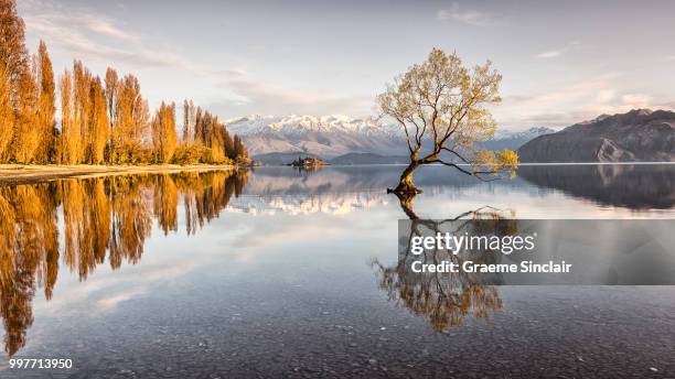 wanaka sunrise - sinclair stock pictures, royalty-free photos & images