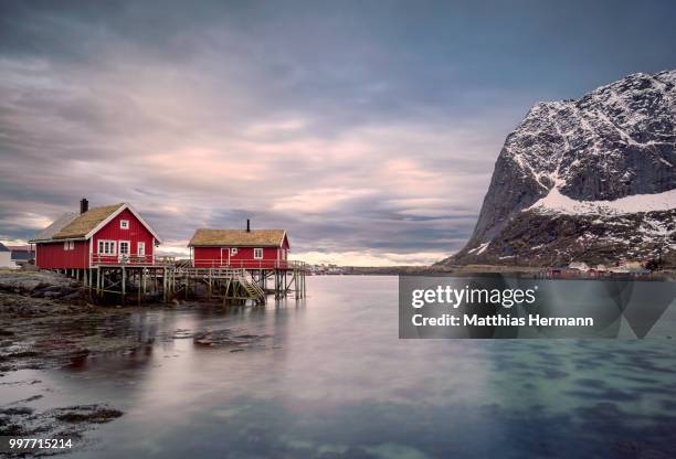 cold paradise - hermann stock-fotos und bilder