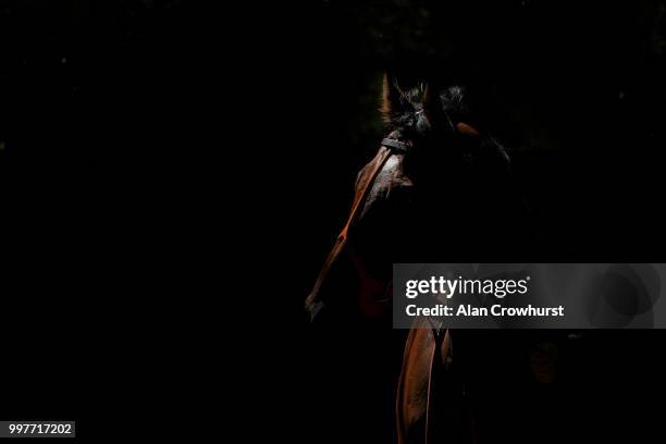 General view as a horse walks in the pre parade ring at Newmarket Racecourse on July 13, 2018 in Newmarket, United Kingdom.