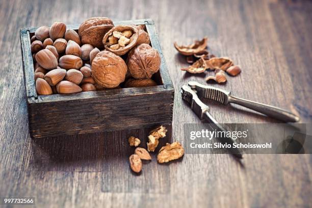 nuts - nutshell stock pictures, royalty-free photos & images