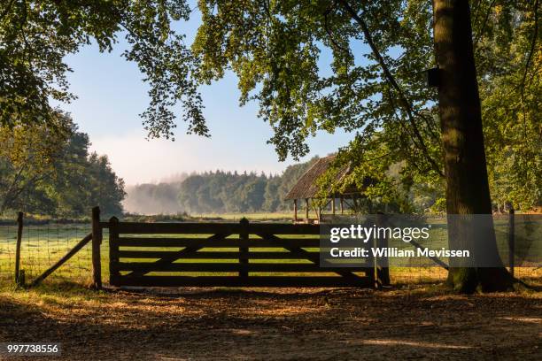 sunny september view - william mevissen fotografías e imágenes de stock