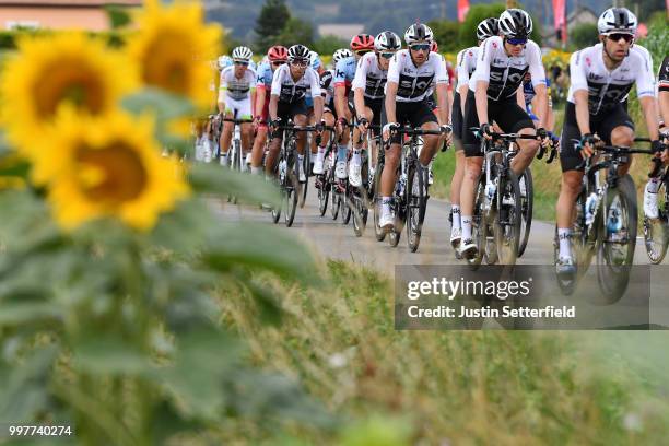 Christopher Froome of Great Britain and Team Sky / Gianni Moscon of Italy and Team Sky / Luke Rowe of Great Britain and Team Sky / Sunflowers /...