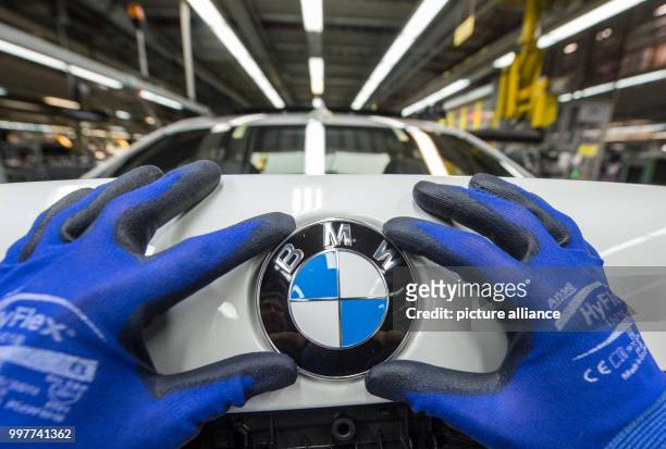Archival material shows the hands of an employee who installs the BMW-logo onto the fond of a car of the BMW 7 series. Photo: Armin Weigel/dpa