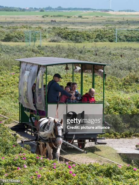 The horse train makes its way through the typical landscape on the Baltic Sea island of Spiekeroog in Lower Saxony, Germany on 11 July, 2017. The...