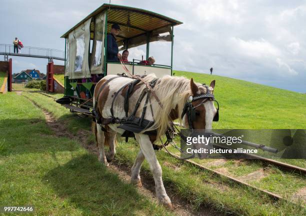 The horse train makes its way through the typical landscape on the Baltic Sea island of Spiekeroog in Lower Saxony, Germany on 11 July, 2017. The...