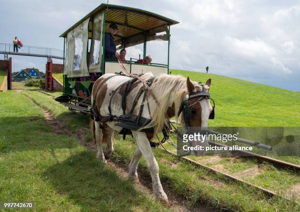 Dpatop - The horse train makes its way through the typical landscape on the Baltic Sea island of Spiekeroog in Lower Saxony, Germany on 11 July,...
