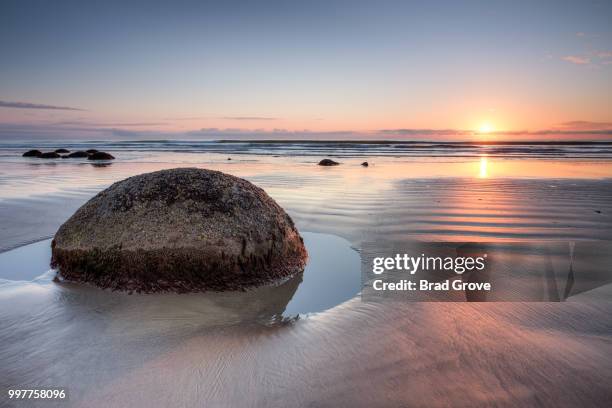 moeraki revisited - moeraki stock pictures, royalty-free photos & images