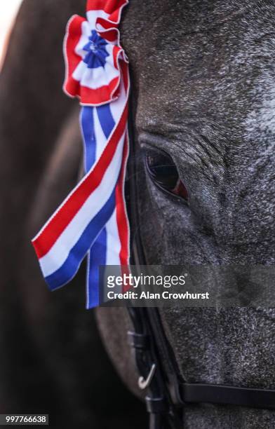 Alpha Centauri after winning The Tattersalls Falmouth Stakes at Newmarket Racecourse on July 13, 2018 in Newmarket, United Kingdom.