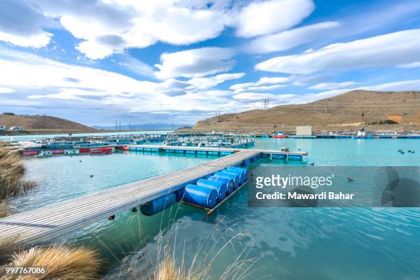 salmon fish farm floating on the glacial waters of wairepo arm, twizel, south island, new zealand - floating island stock pictures, royalty-free photos & images