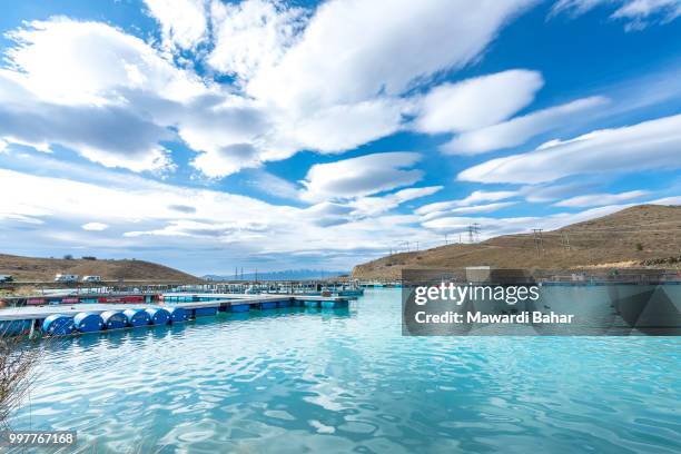 salmon fish farm floating on the glacial waters of wairepo arm, twizel, south island, new zealand - floating island stock pictures, royalty-free photos & images