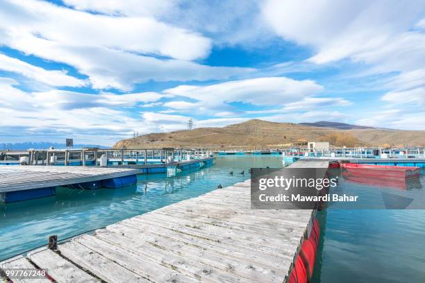 salmon fish farm floating on the glacial waters of wairepo arm, twizel, south island, new zealand - twizel stock-fotos und bilder