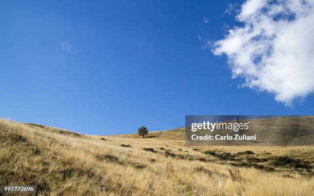 monte cuar - zuliani stock pictures, royalty-free photos & images