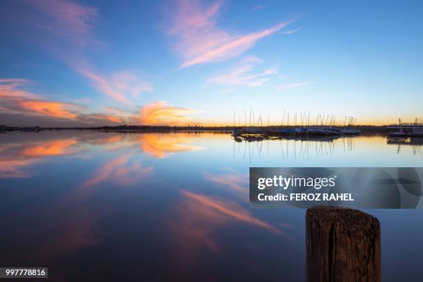 the monster! about to eat up all in the lake. - feroz stock pictures, royalty-free photos & images