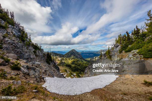 snow remnant - jaye stockfoto's en -beelden