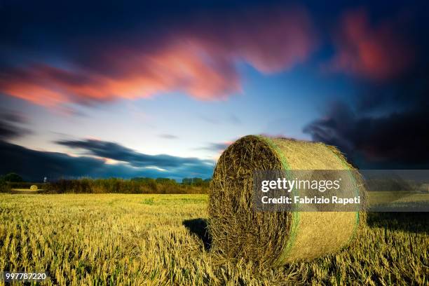 hay bale - dinner to celebrate the launch of fabrizio viti cruise 18 collection back in love again stockfoto's en -beelden