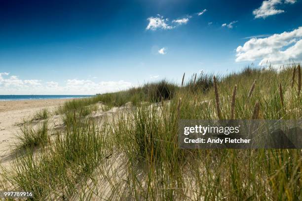 shell bay, poole - fletcher stock pictures, royalty-free photos & images