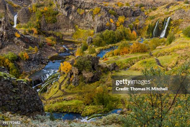 selfoss,iceland - selfoss stock pictures, royalty-free photos & images