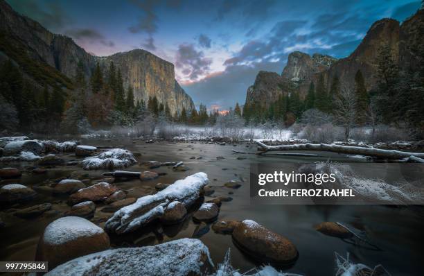 valley view of el capitan - feroz stockfoto's en -beelden