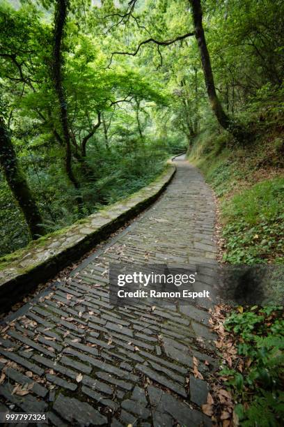 promenade in the natural park "fragas del eume". - eume stock pictures, royalty-free photos & images