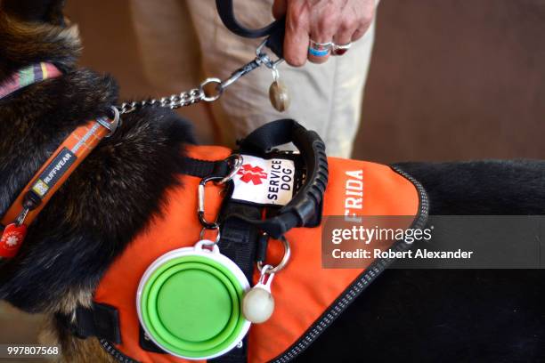 57点のsanta Fe N M Thoroughbredのストックフォト Getty Images 57点のsanta Fe N M Thoroughbredのストックフォト Getty Images