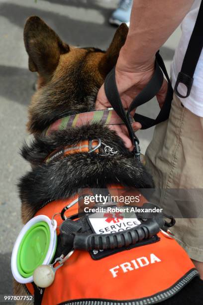 57点のsanta Fe N M Thoroughbredのストックフォト Getty Images 57点のsanta Fe N M Thoroughbredのストックフォト Getty Images
