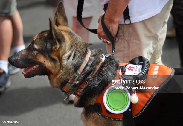 57点のsanta Fe N M Thoroughbredのストックフォト Getty Images 57点のsanta Fe N M Thoroughbredのストックフォト Getty Images