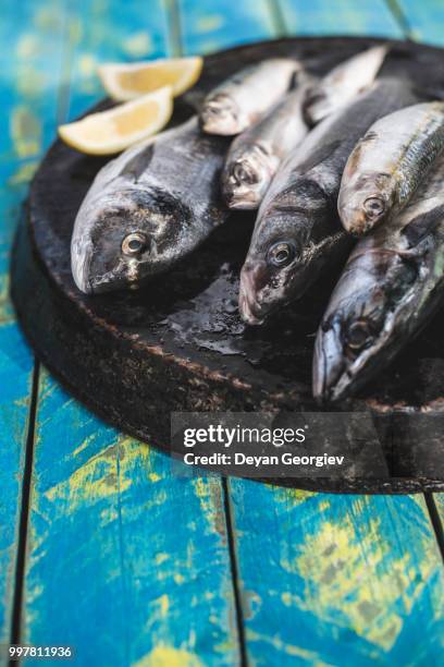 raw fish. sea bream, sea bass, mackerel and sardines - unprocessed stock-fotos und bilder