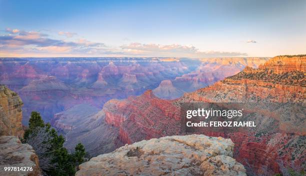 the mighty grand canyon! - feroz stock pictures, royalty-free photos & images