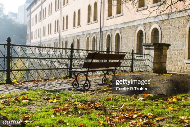 early morning view with the bench in luxembourg - jardin stock-fotos und bilder