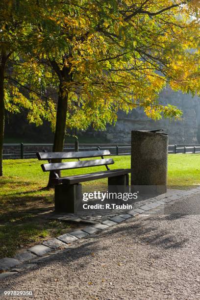 early morning with the bench in luxembourg park - jardin stock-fotos und bilder