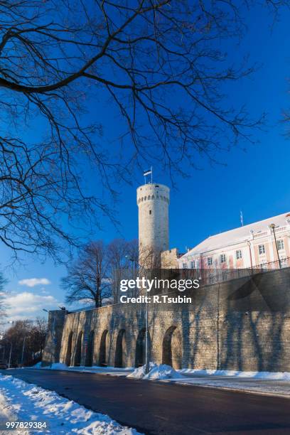 herman tower and parliament building in center of tallinn, estonia - town wall tallinn stock pictures, royalty-free photos & images