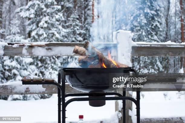metal basket with a glowing wood. camp fire at a cold winter day in forest - bbq winter ストックフォトと画像