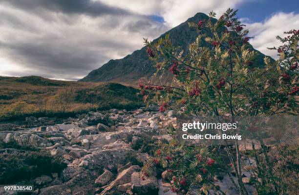 buachaille etive mor - mor stock-fotos und bilder